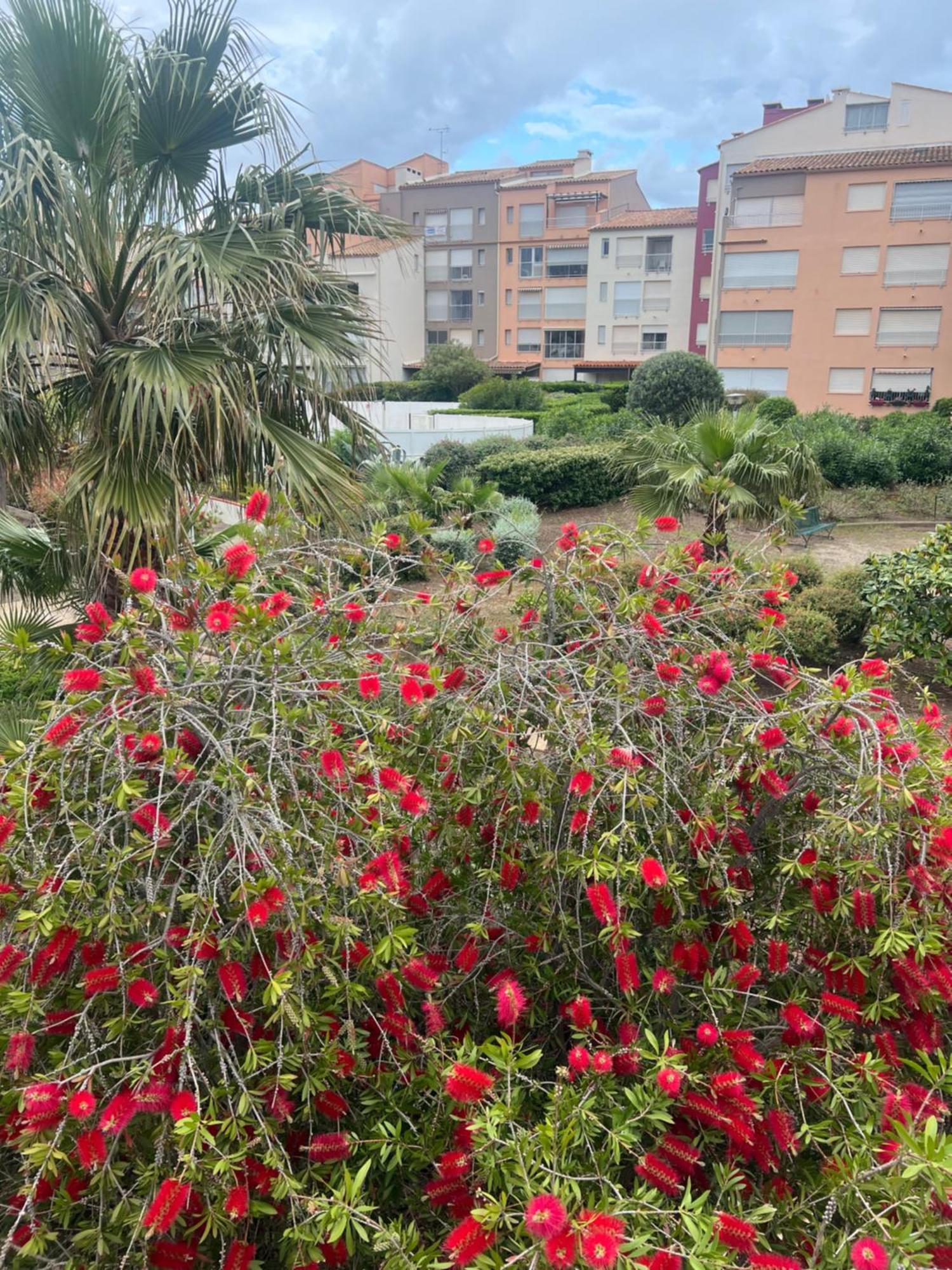 Residence Le Pharo Agde Luaran gambar